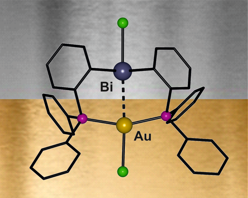 Bismuth-Pincer Complexes