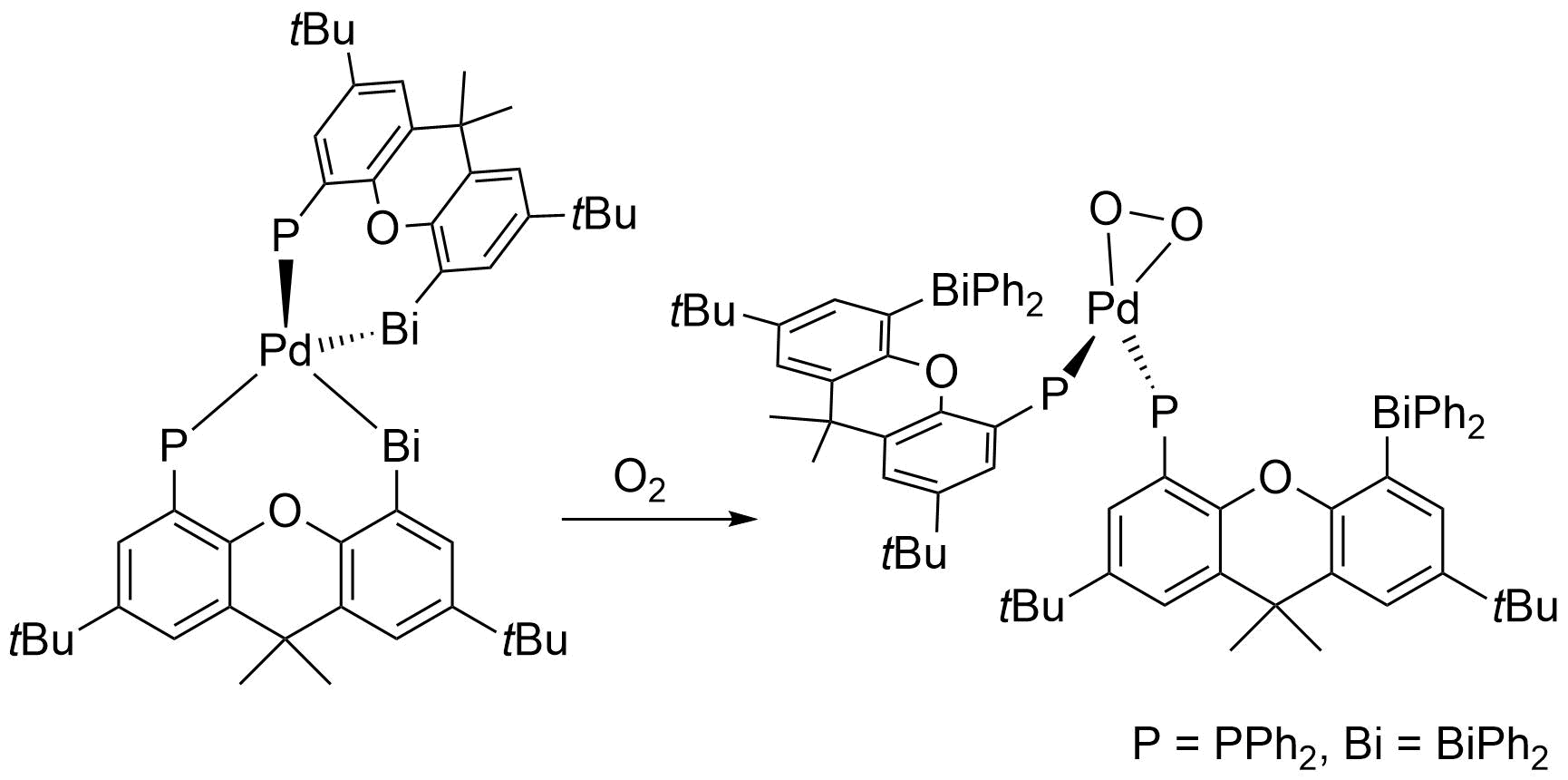 O<sub>2</sub> Activation on Palladium Complexes