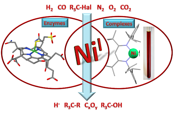 Nickel(I) in Enzymes and Complexes