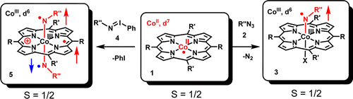 TOC co nitrene.gif