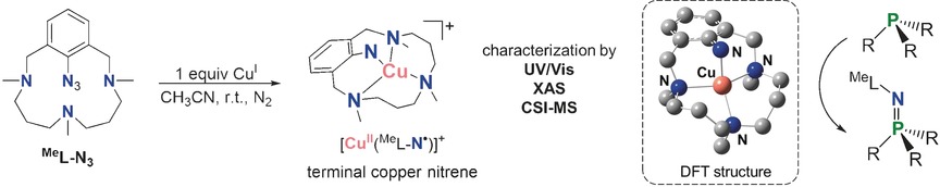 TOC cu nitrene 1.jpg