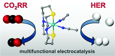 sulfur substitution cyclam.gif