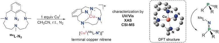 TOC cu nitrene 1.jpg