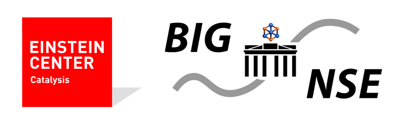 bignse logo.PNG