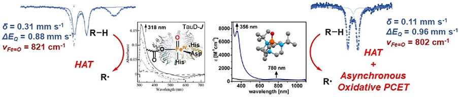 a pseudotetrahedral terminal oxoiron complex, mech promiscuity in ch bond oxidation reactions.jpg