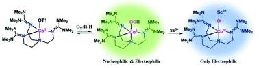 Formation of cobalt–oxygen intermediates by.jpeg