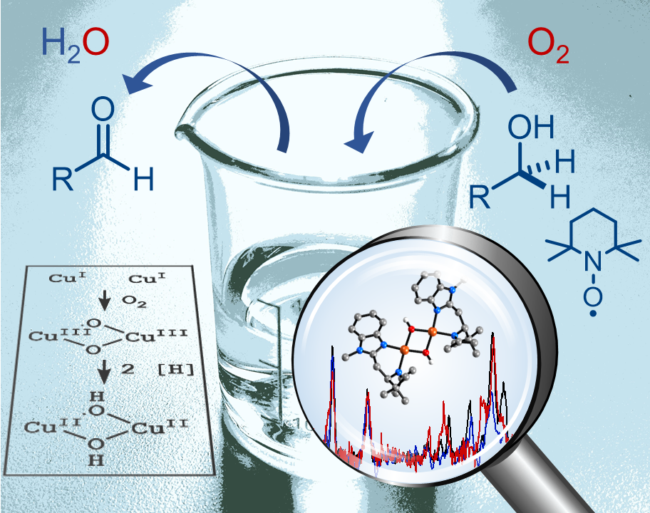 Spectroscopic Characterization of a reactive [Cu2(µ-OH)2] intermediate in CuTEMPO catalyzed aerobic alcohol oxidation reaction.tif