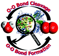 transition metal-mediated o-o bon formation and activation in chemistry and biology.gif