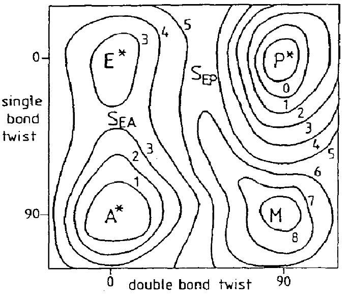 image5.jpg