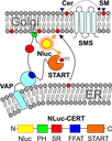 BRET concept new_650.png