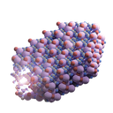 Burmeister.png