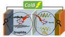 CoIB_650.png