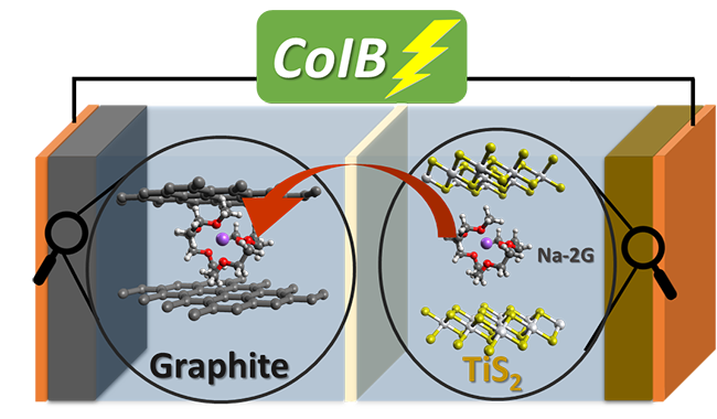 CoIB_650.png