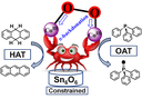 ray2.png