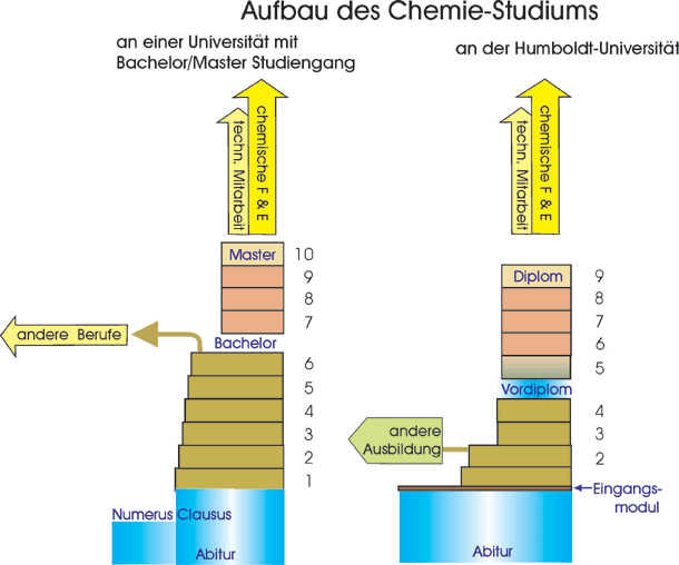 studiengaenge.jpg