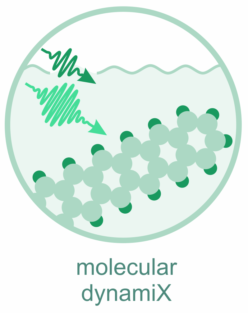 moleculardyx