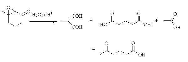 hydroperoxides2