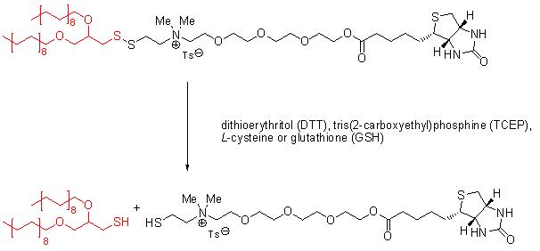 liposomes 2