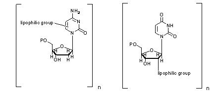 nucleolipids3.jpg