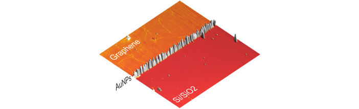 Selective chemical modification of the graphene edge