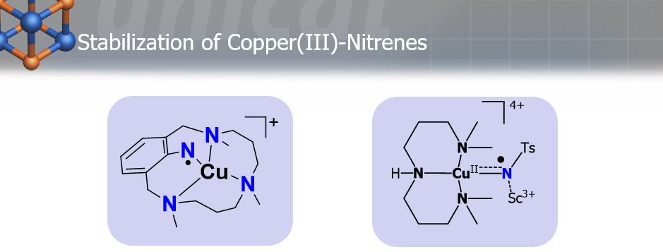 4 nitrene.JPG