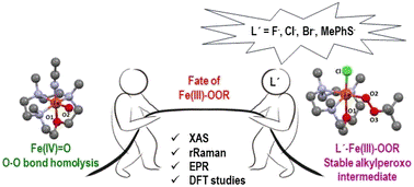 tarali toc chem science.gif