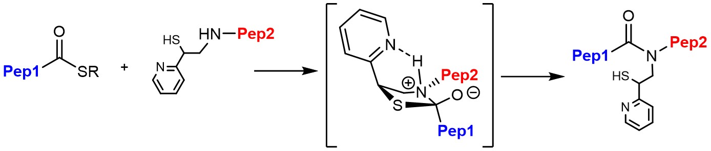 Formula_Fuchs.jpg