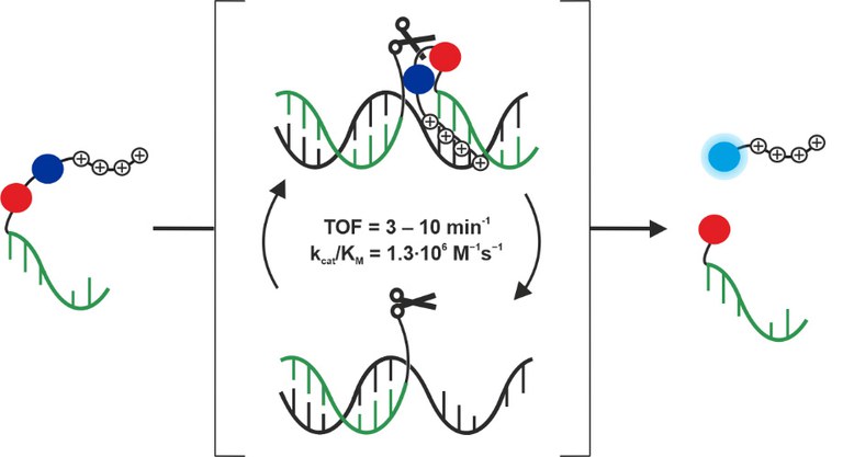 JACS-2022_Dino-Magdalena.jpg