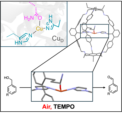 Otte_Chem_Eur_J_2025.png